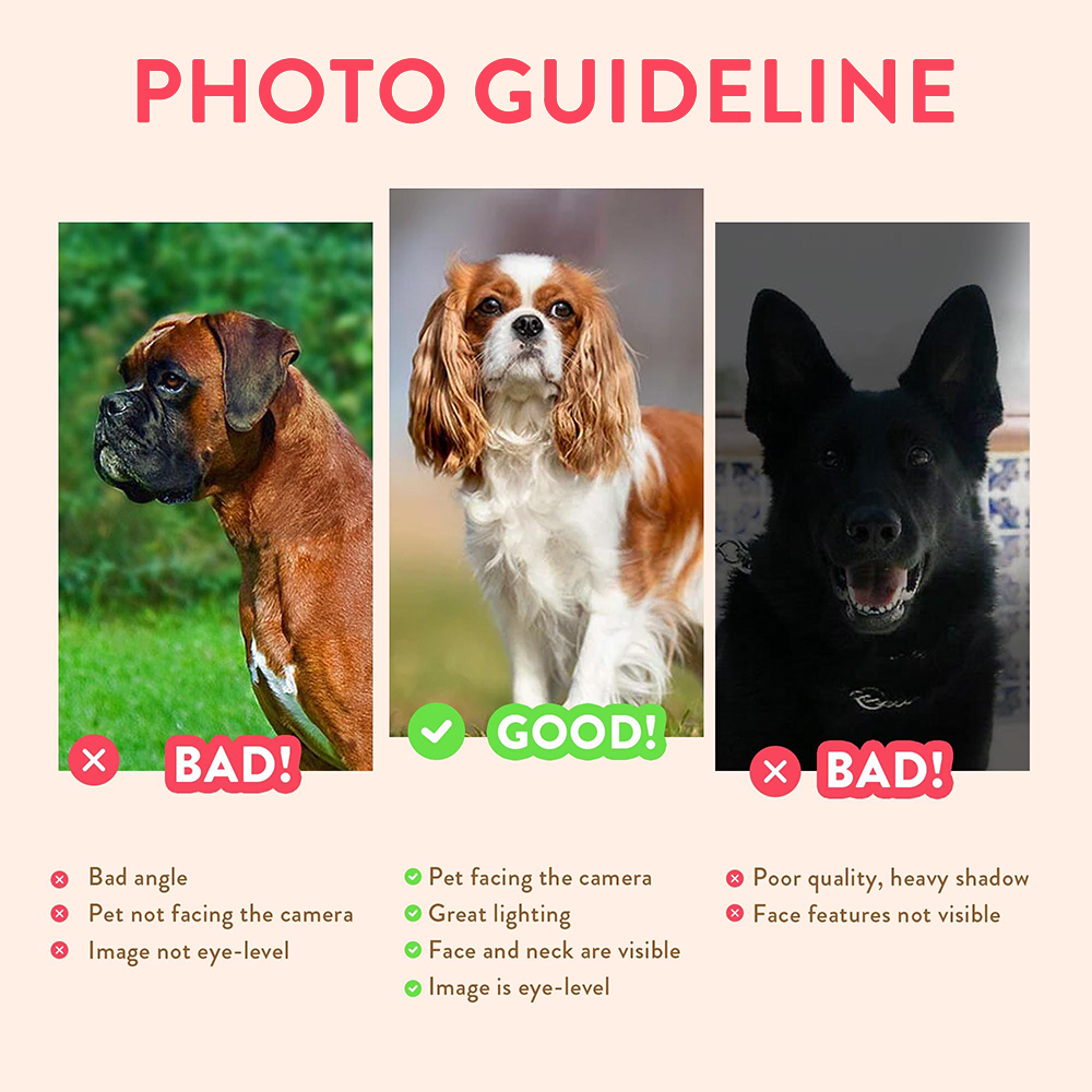 Personalized Pet Portraits Pho - Photographic Memory review and price