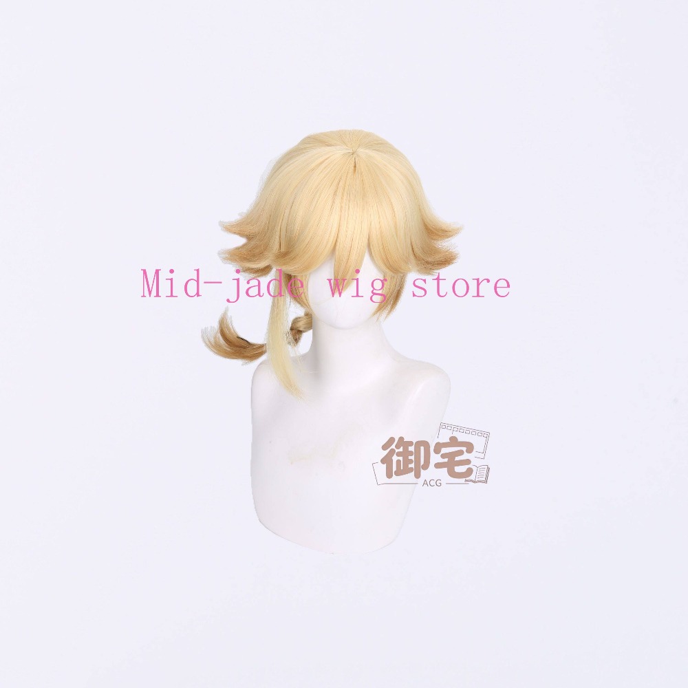 Ji Xiaoman Cosplay Wig Gradien - Photography Japanese review and price
