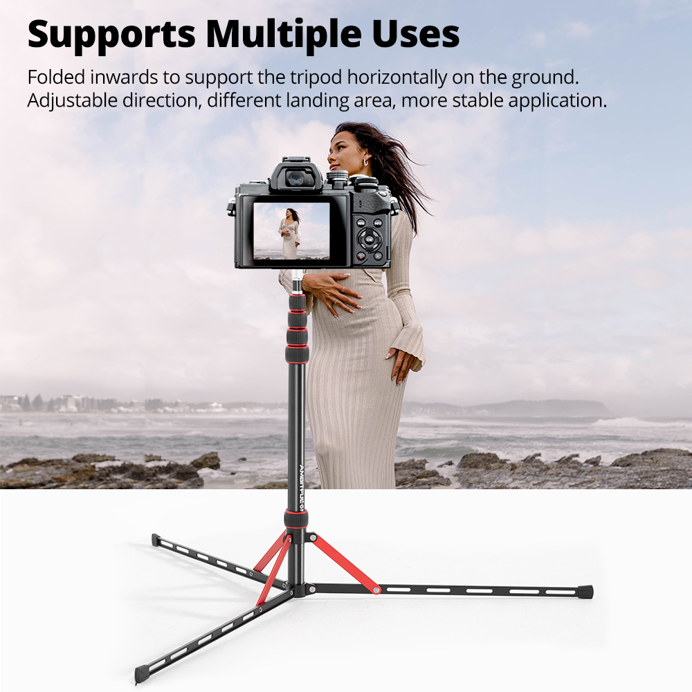 Ambitful GM220 Photographic Li - Photography Basics review and price