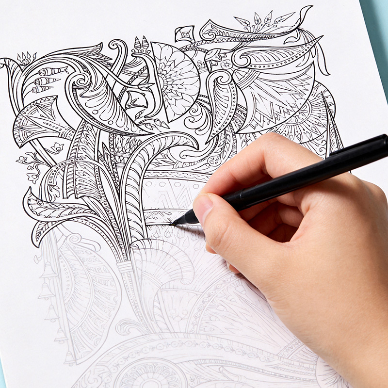 A Hand Drawn Coloring Book for - Photography Book review and price