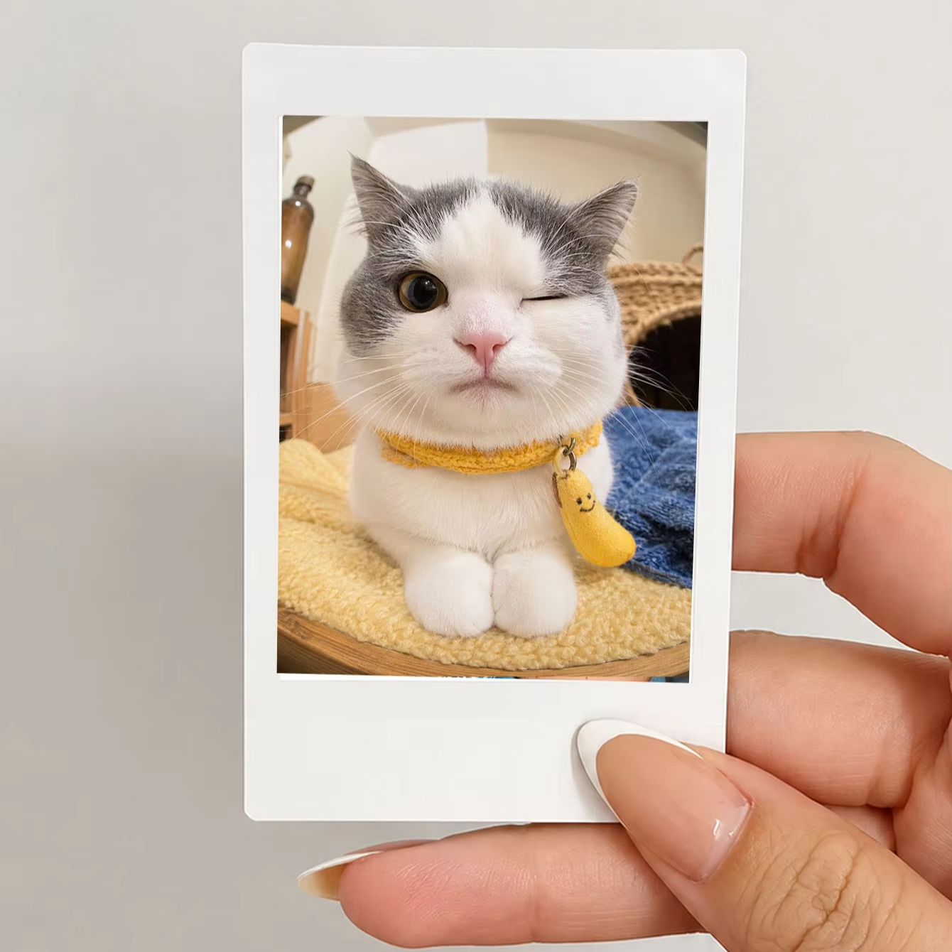 1/3/5Pcs Custom Photo Prints,  - Photographic Memory review and price